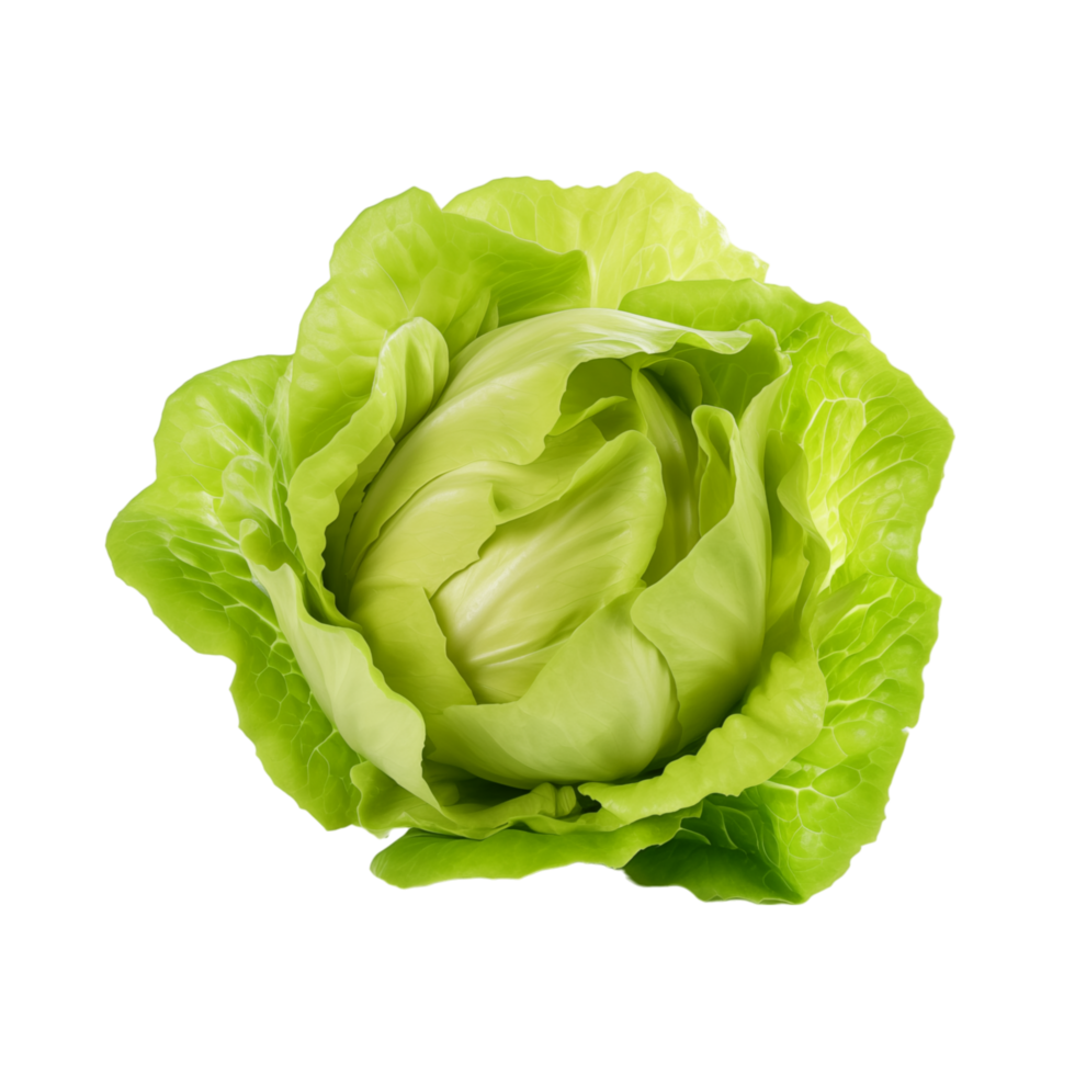 Lettuce isolated on transparent background png