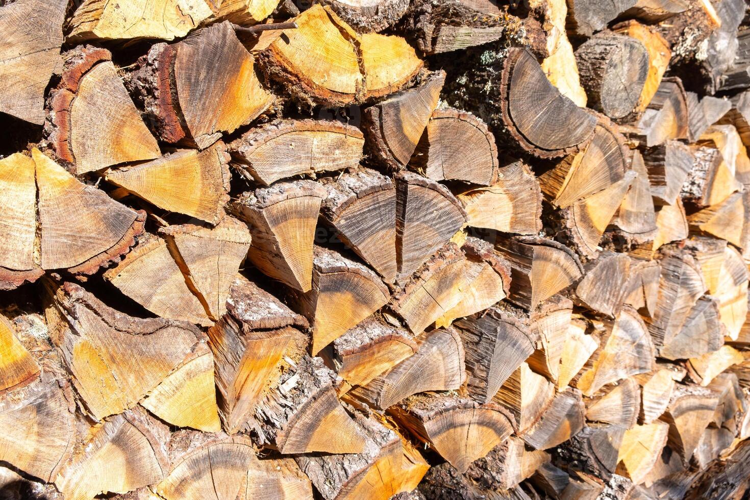 cut and stacked oak firewood, textured firewood background photo