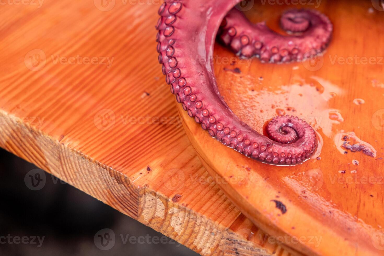 Detail of a boiled octopus tentacle. Pulpo a feira. Galicia, Spain. photo