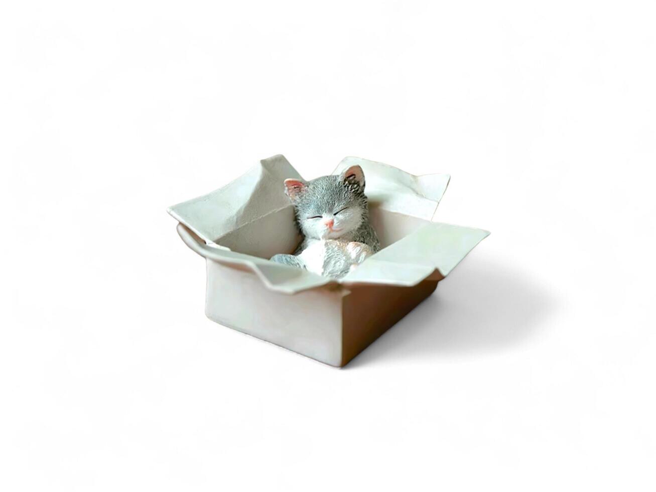 Decorative miniature cat sleeping in a cardboard box on a white background photo