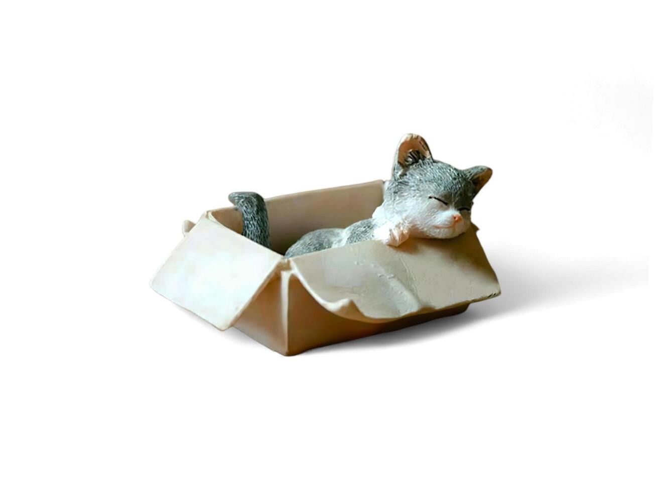 Decorative miniature cat sleeping in a box on a white background photo