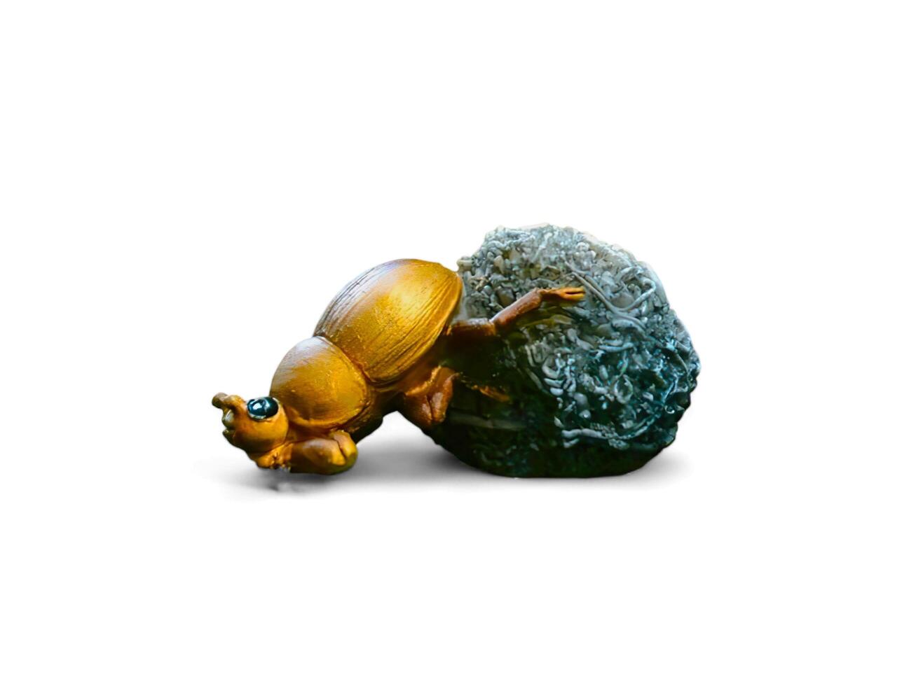 miniature dung beetle on a white background photo