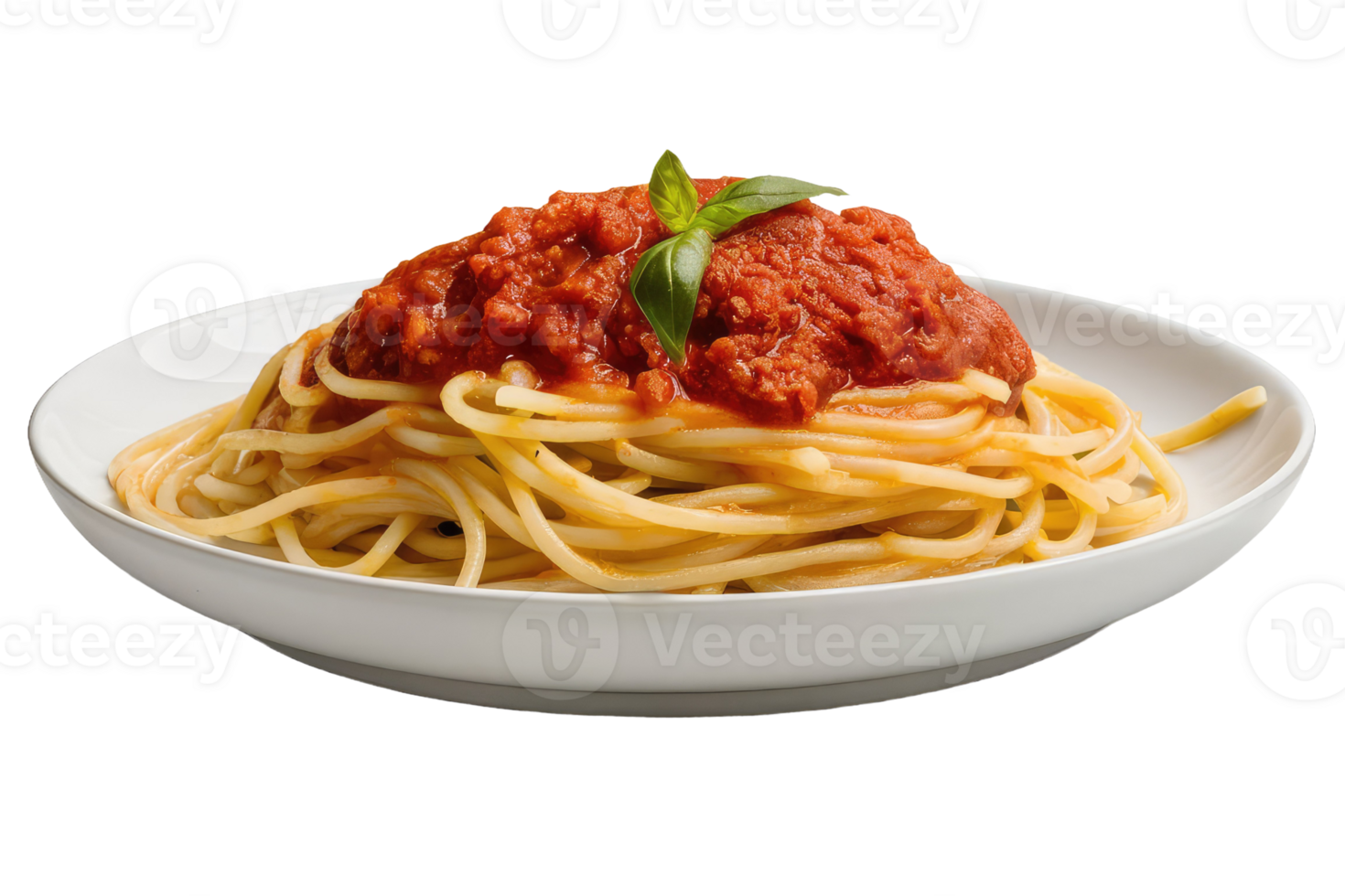 Spaghetti with Tomato Sauce and Basil png