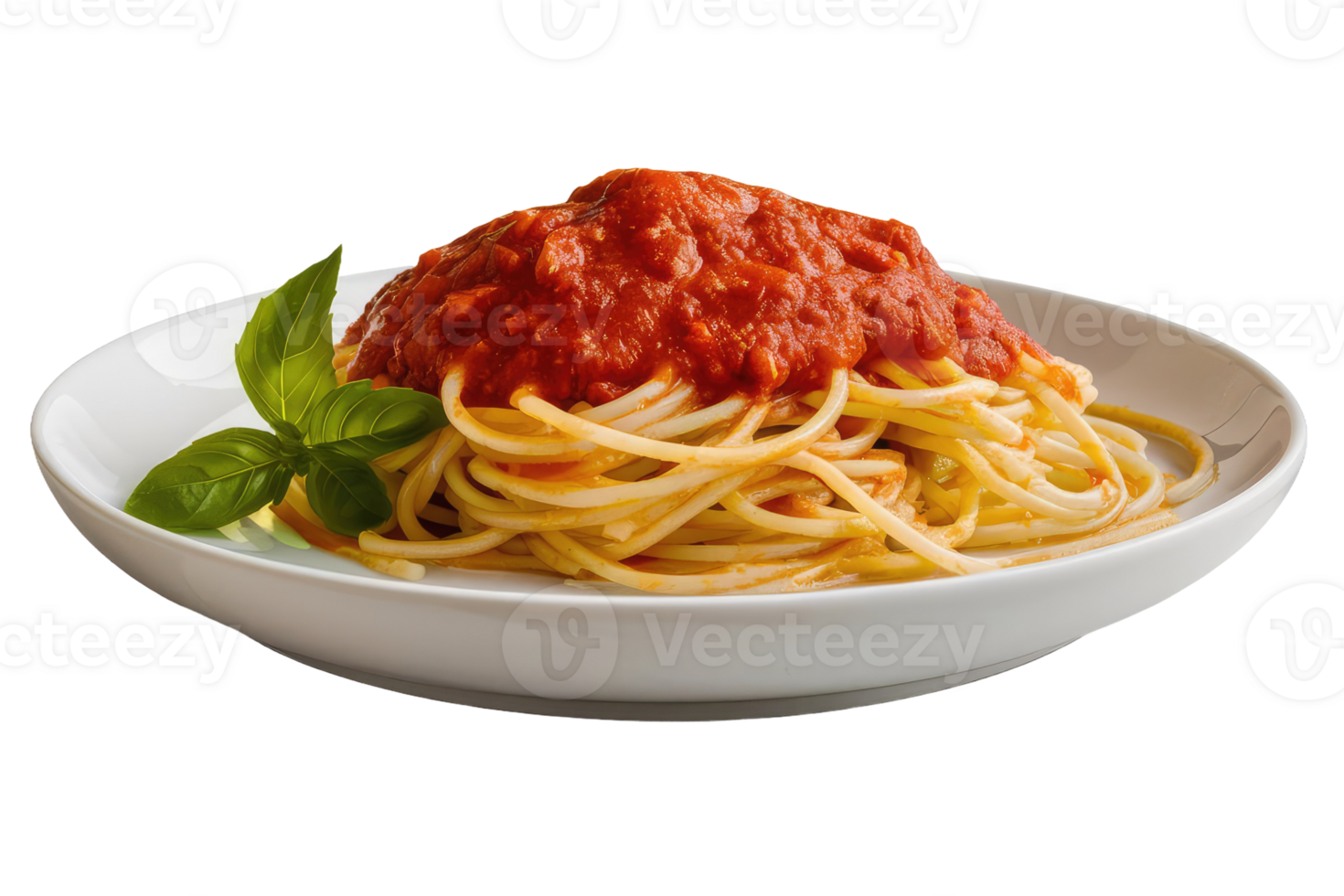 Spaghetti with Tomato Sauce and Basil png