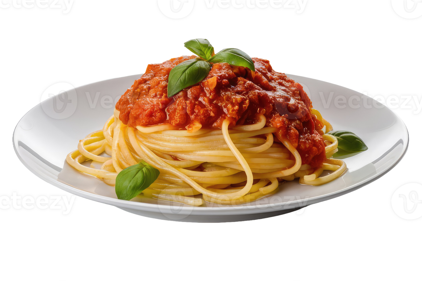 Spaghetti with Tomato Sauce and Basil png