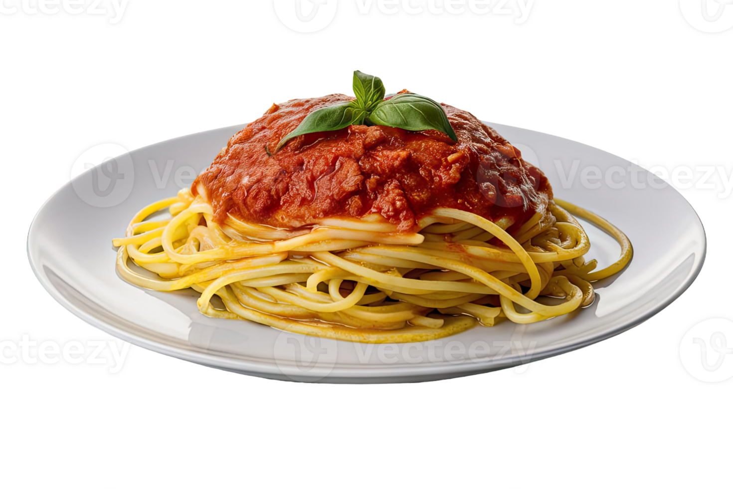 Spaghetti with Tomato Sauce and Basil png