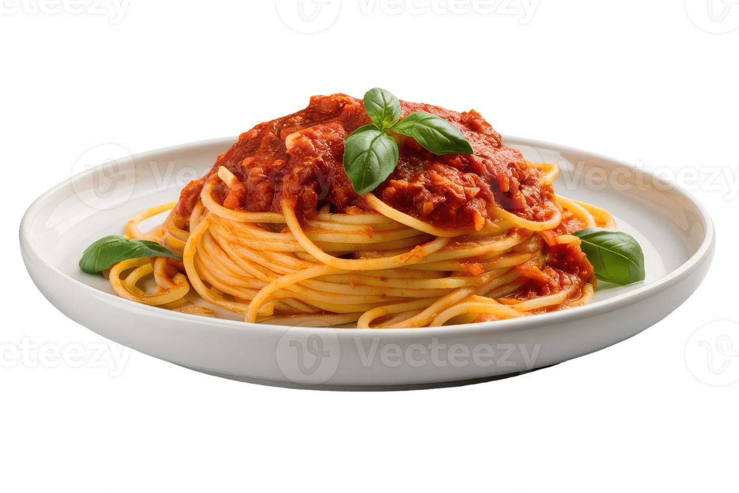 Spaghetti with Tomato Sauce and Basil png