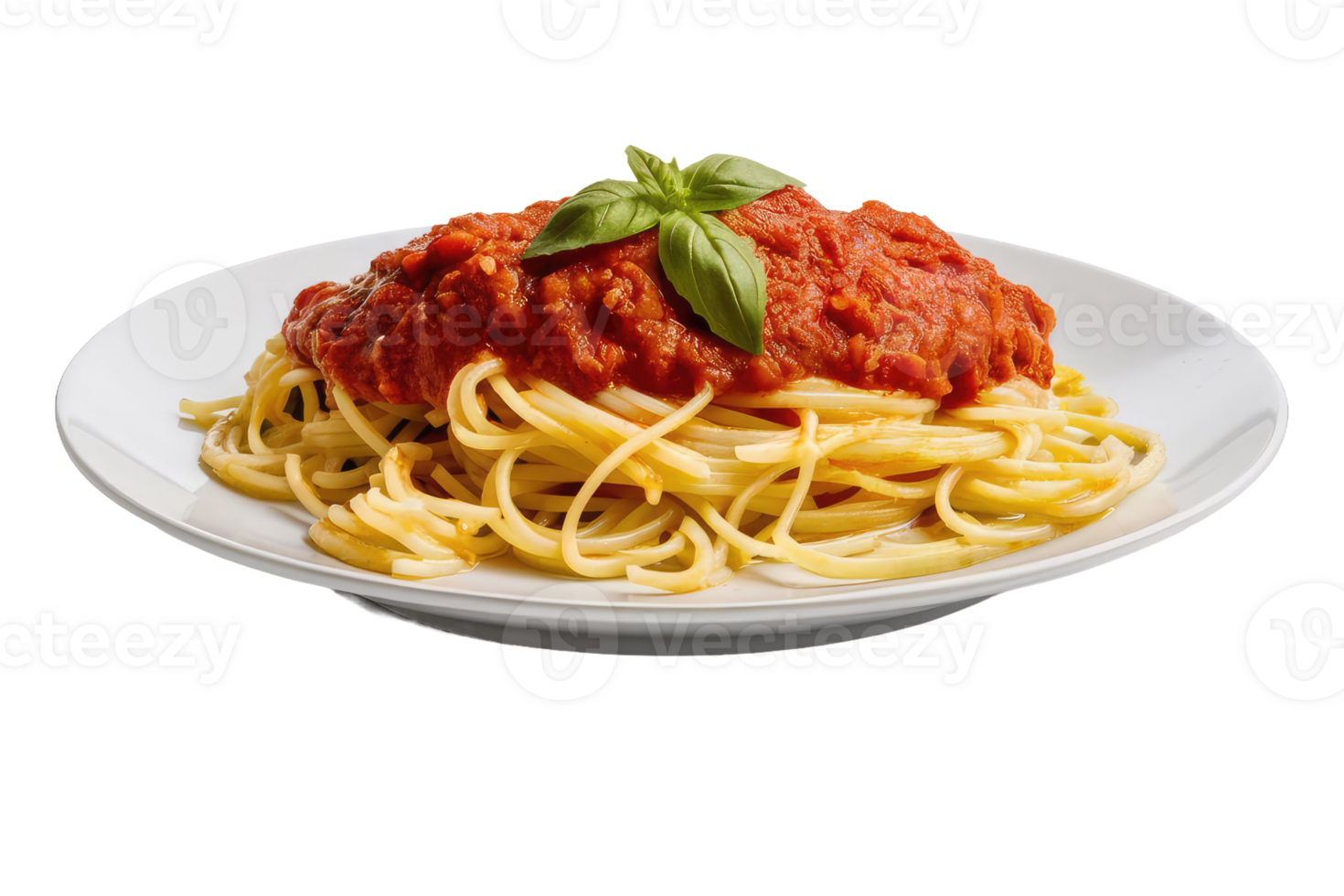 Spaghetti with Tomato Sauce and Basil png