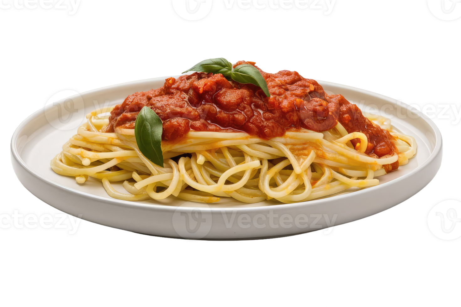 Spaghetti with Tomato Sauce and Basil png