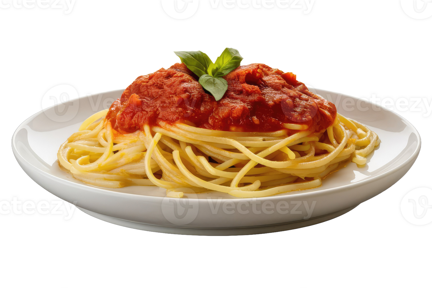 Spaghetti with Tomato Sauce and Basil png
