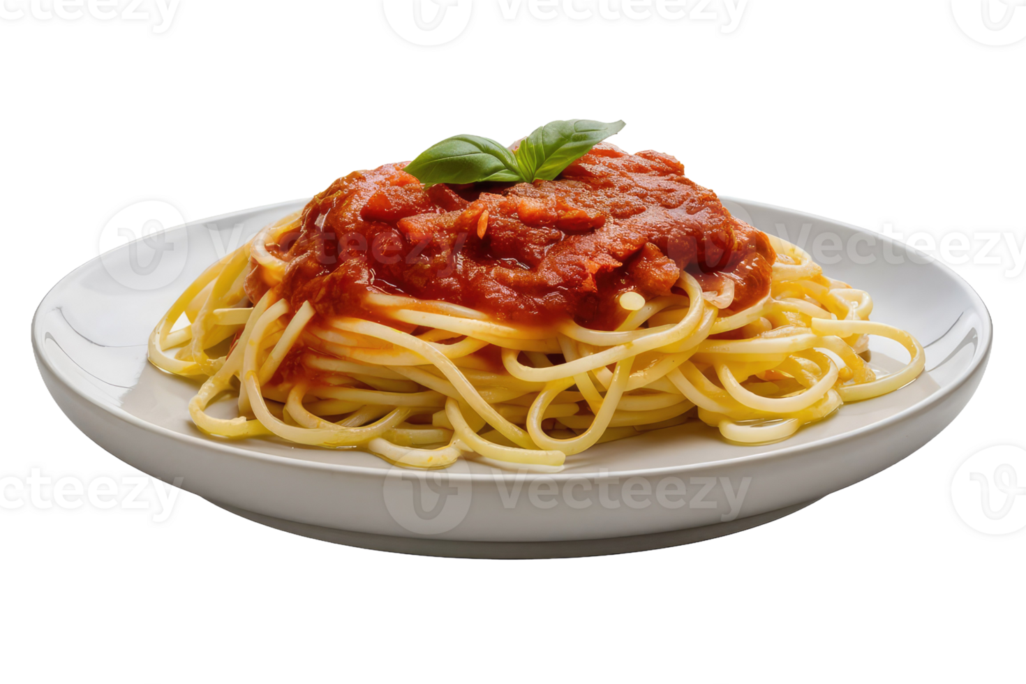 Spaghetti with Tomato Sauce and Basil png