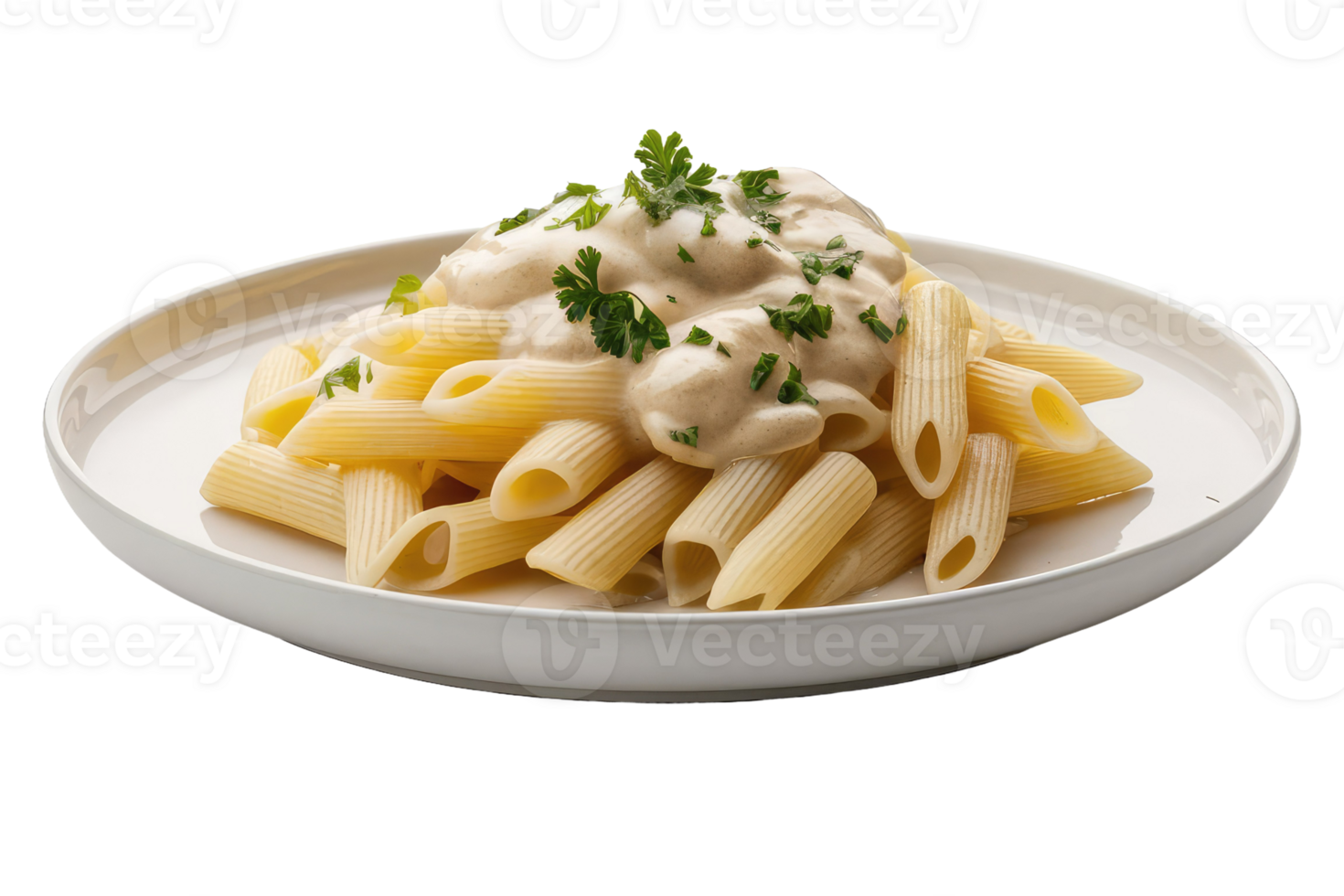 Beef and Vegetable Stir-Fry with Noodles png
