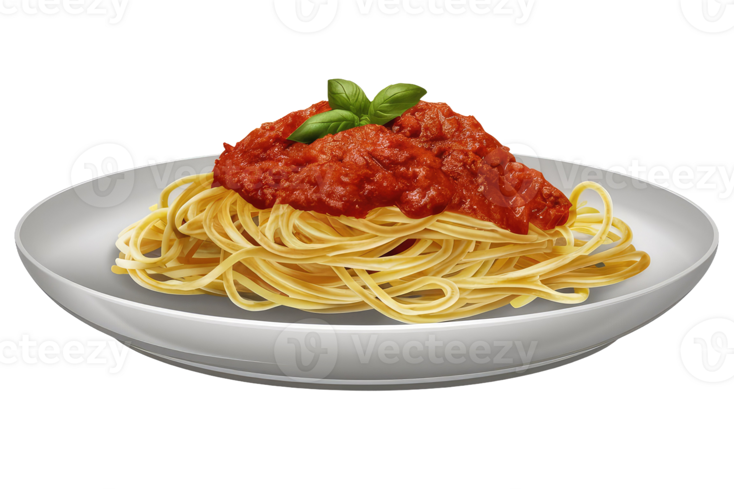 Spaghetti with Tomato Sauce and Basil png