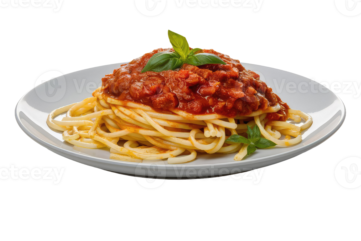 Spaghetti with Tomato Sauce and Basil png
