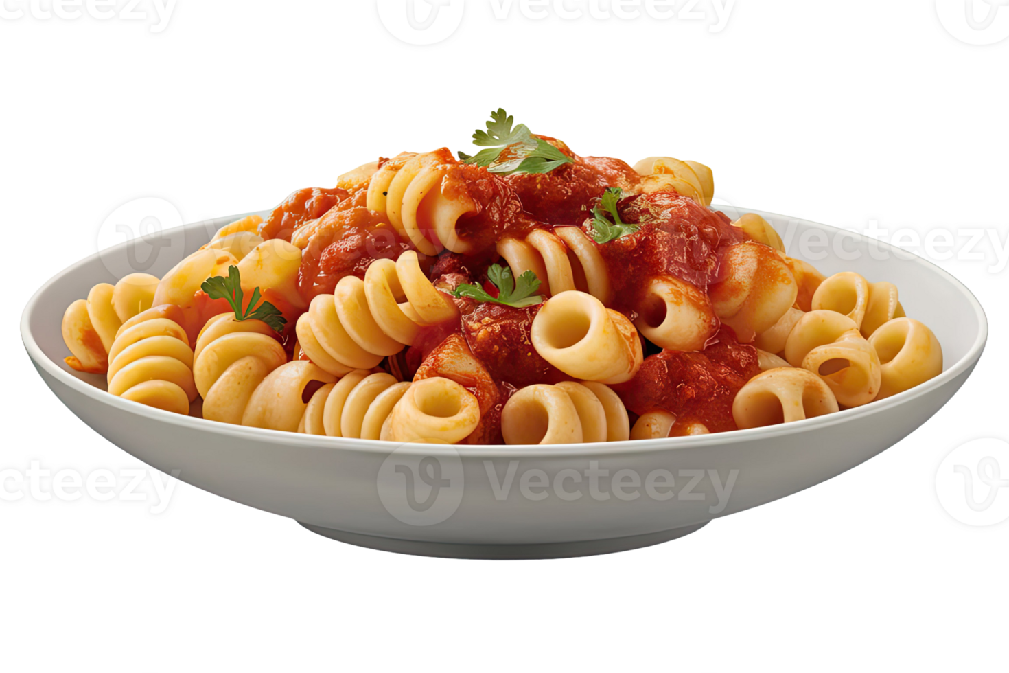 Fusilli with tomato sauce png