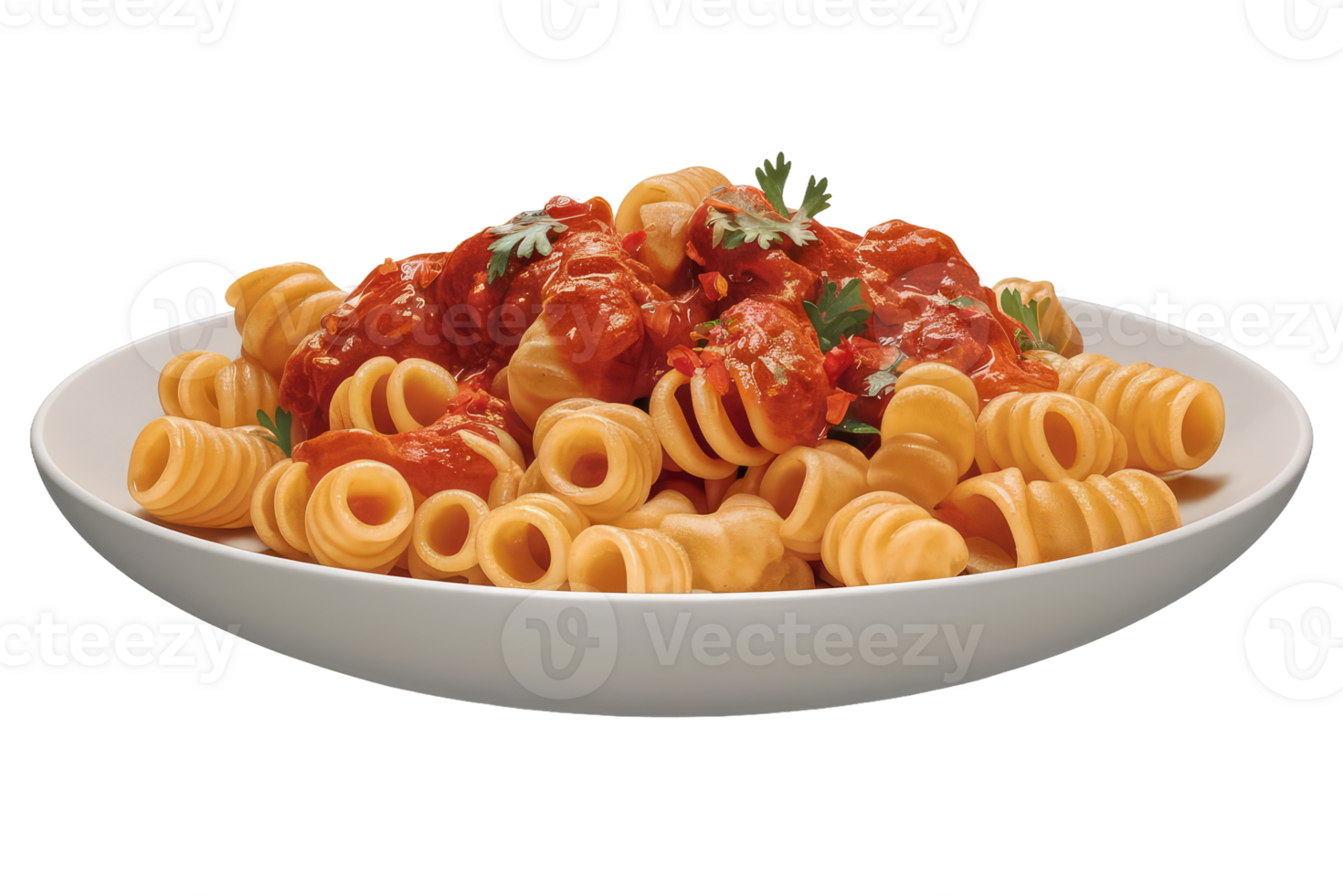 Fusilli with tomato sauce png