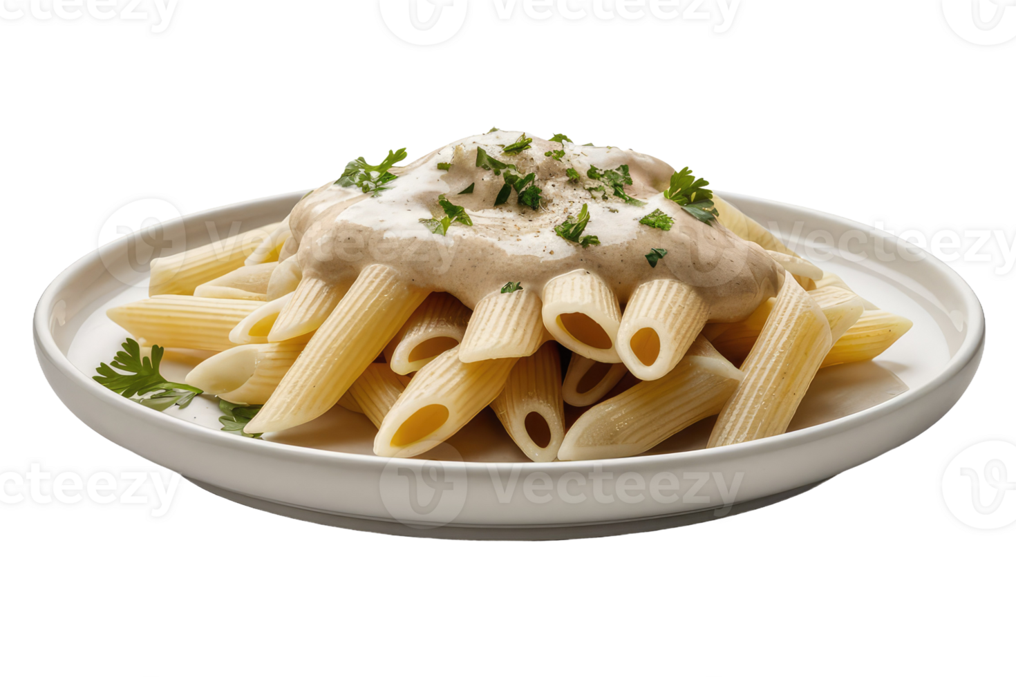 Beef and Vegetable Stir-Fry with Noodles png