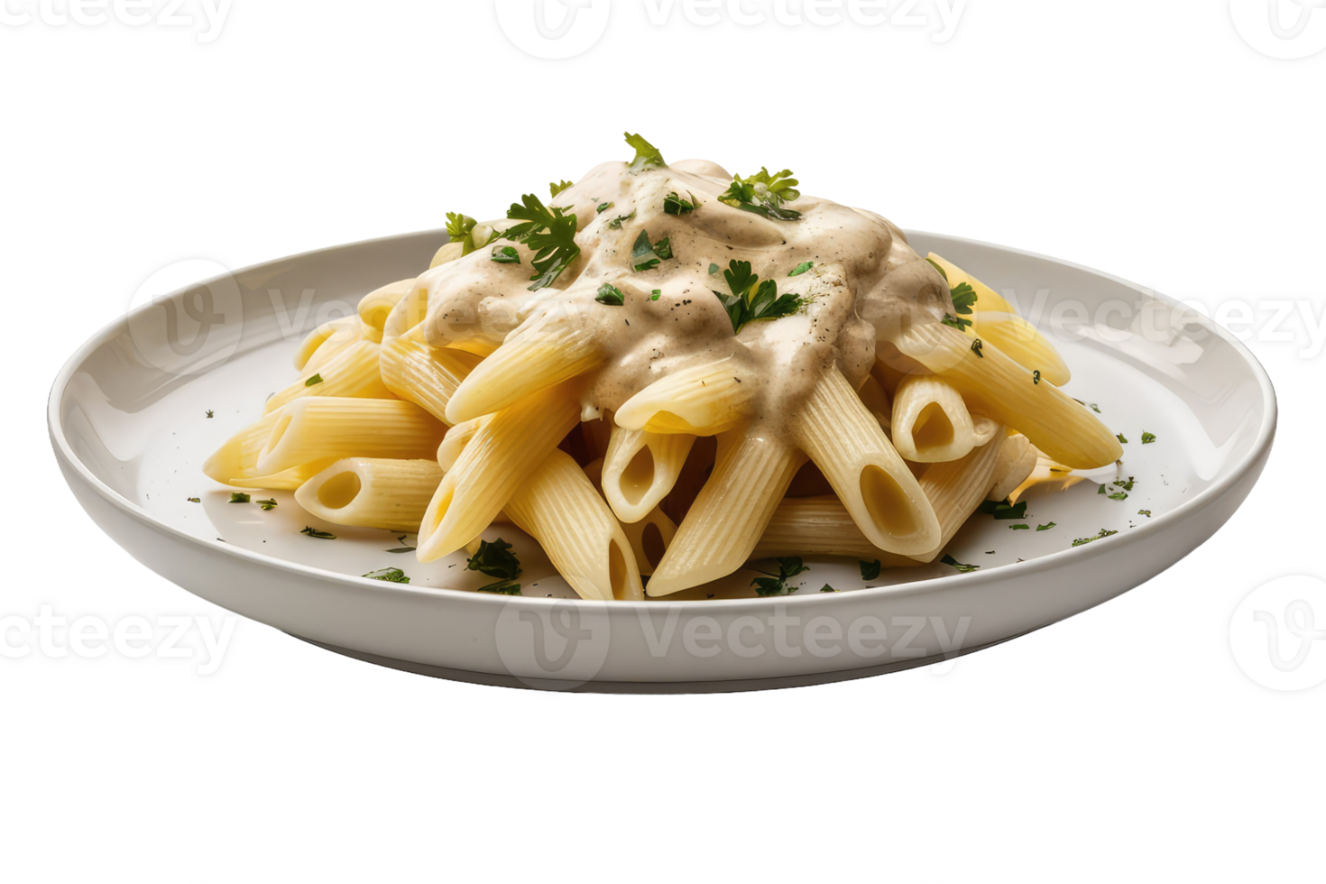 Beef and Vegetable Stir-Fry with Noodles png
