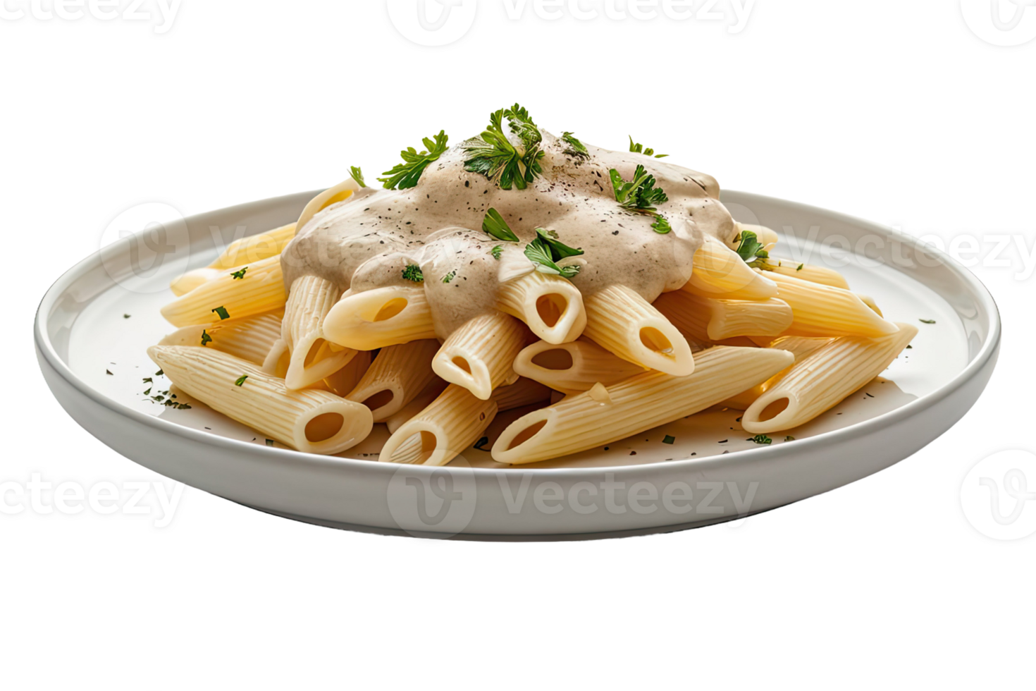 Beef and Vegetable Stir-Fry with Noodles png