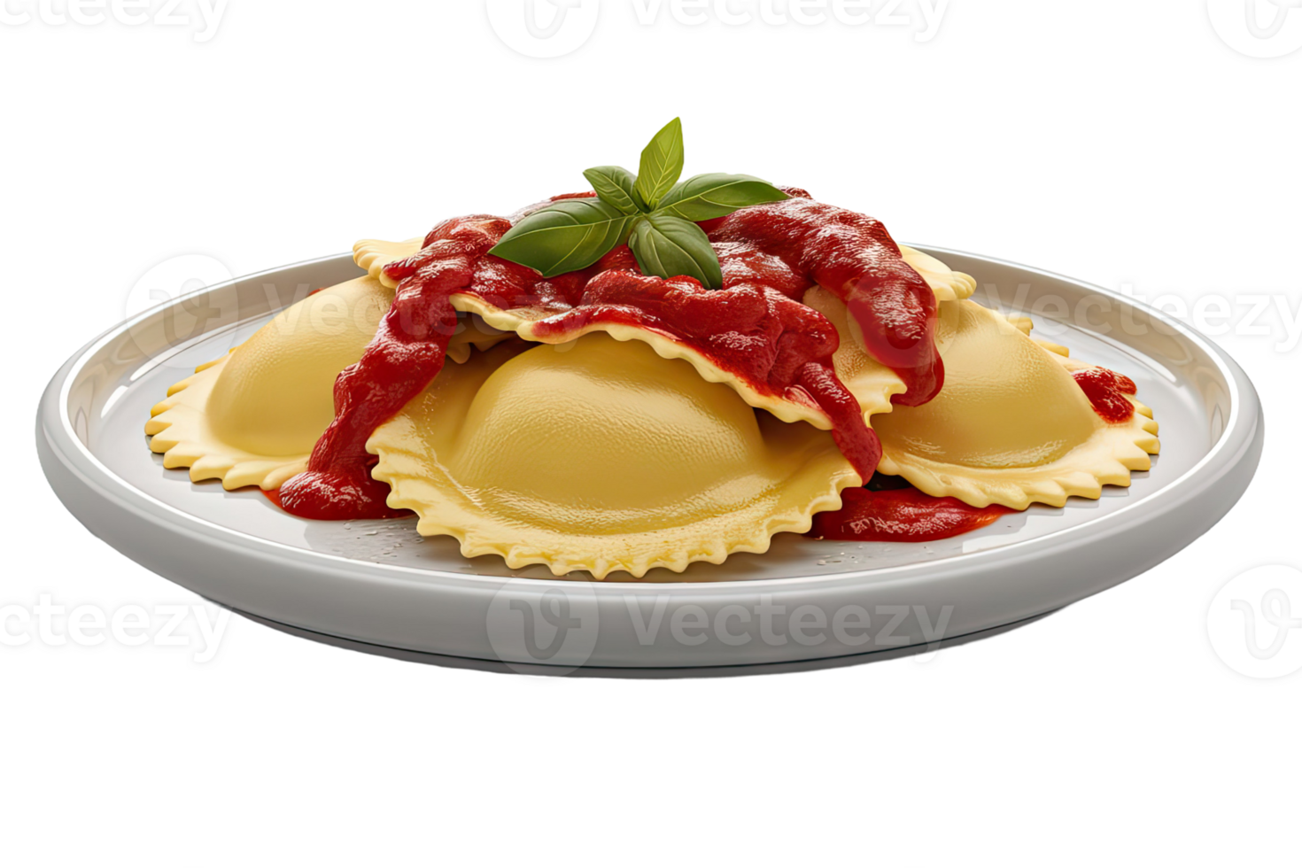 Ravioli with Tomato Sauce png
