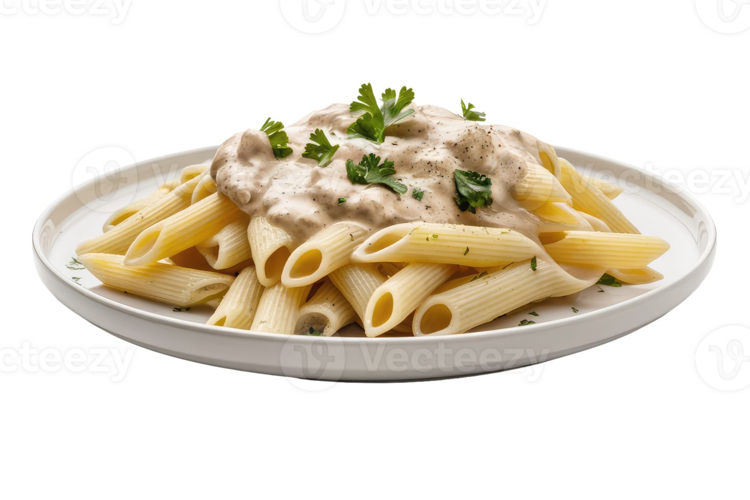 Beef and Vegetable Stir-Fry with Noodles png