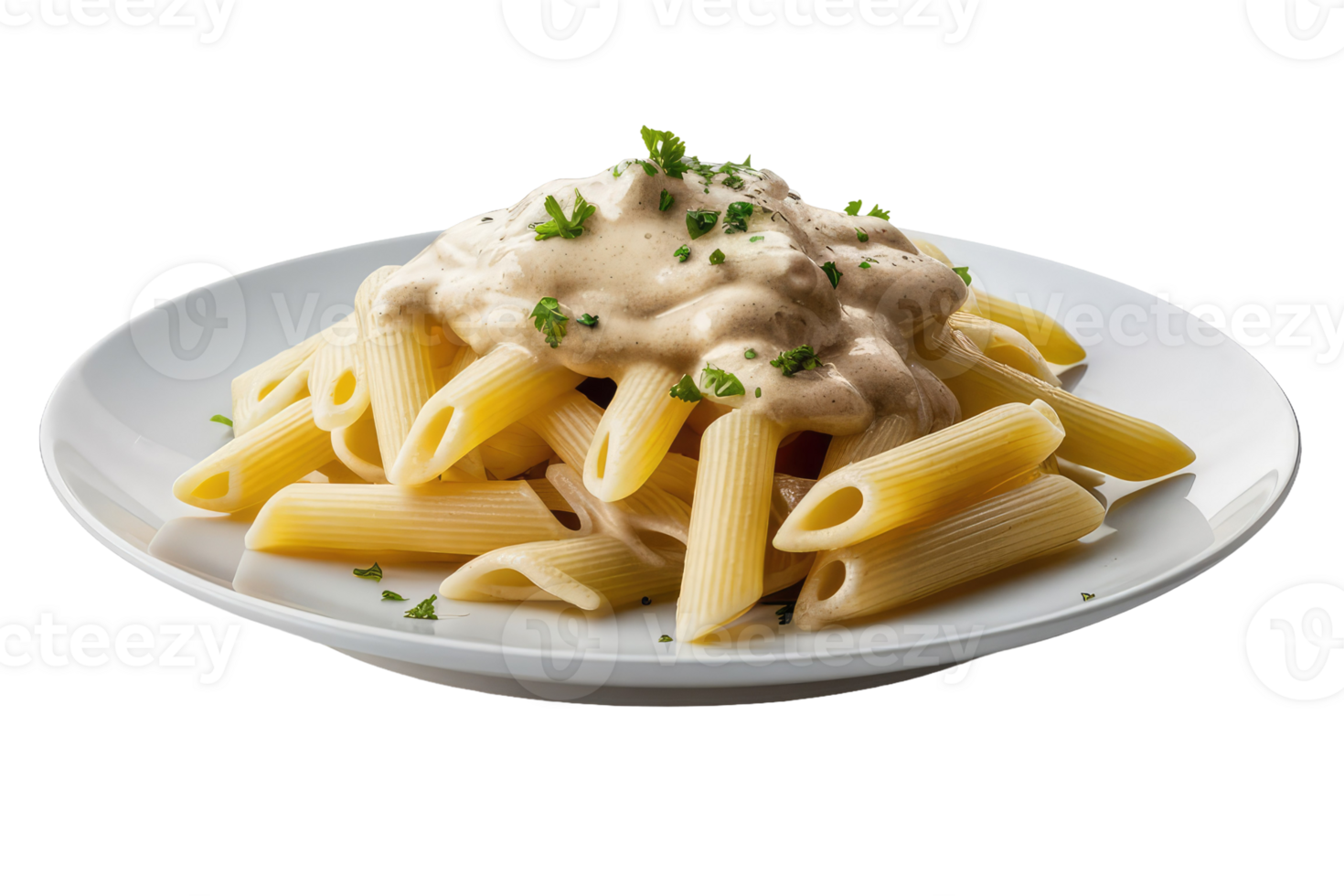 Beef and Vegetable Stir-Fry with Noodles png