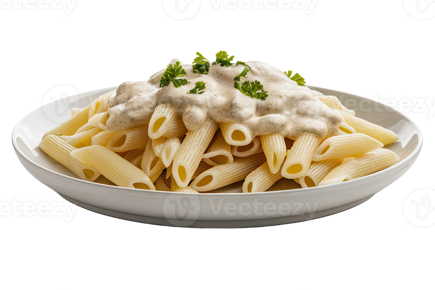 Beef and Vegetable Stir-Fry with Noodles png