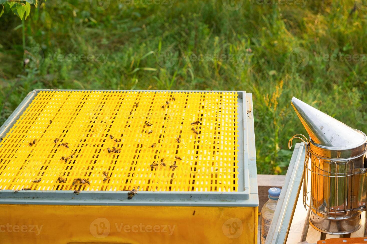 An open hive with frames and bees in rural areas, a bee fumigator, keeping bees in agricultures. Beekeeping, care of the hive photo