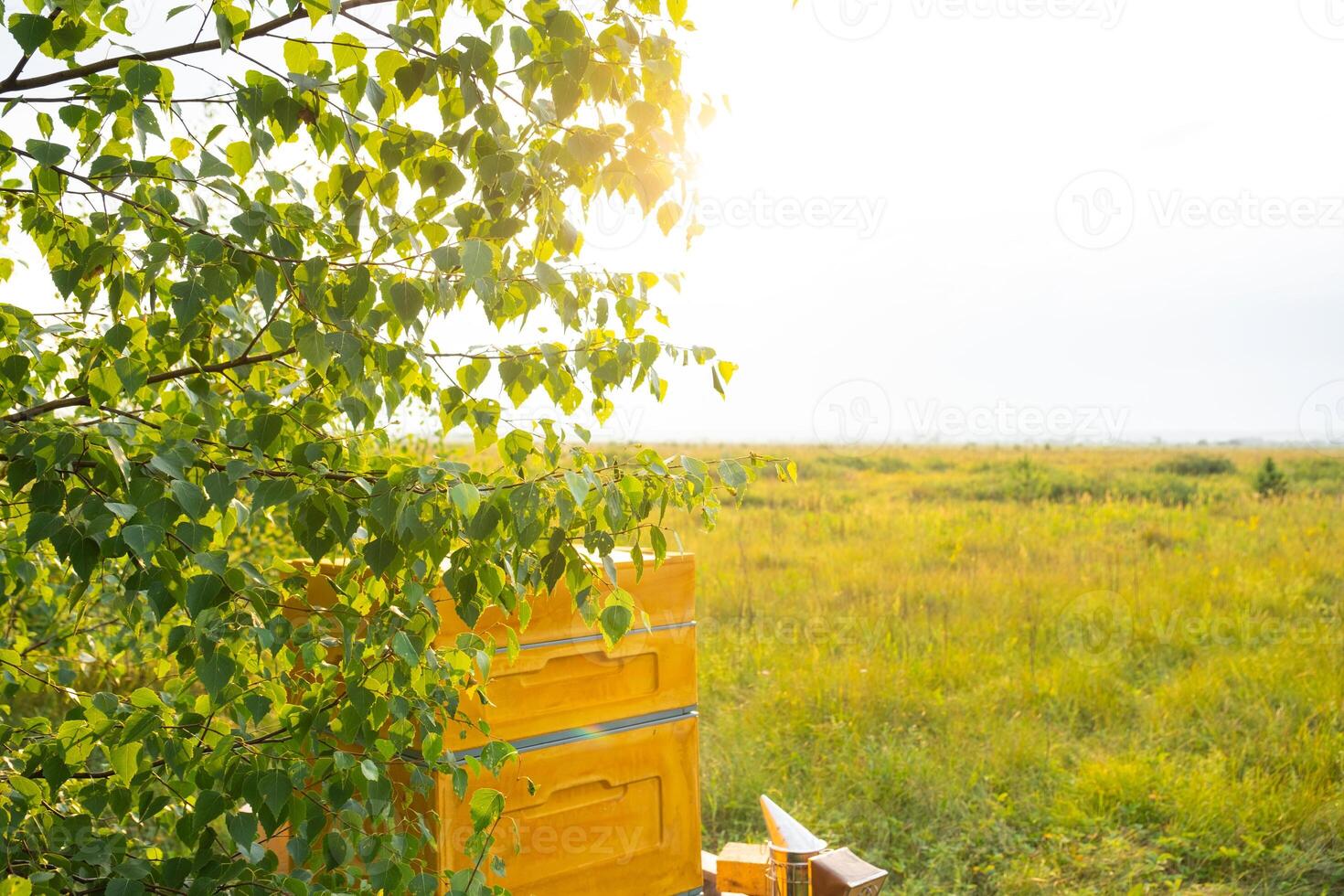 An open hive with frames and bees in rural areas, a bee fumigator, keeping bees in agricultures. Beekeeping, care of the hive photo
