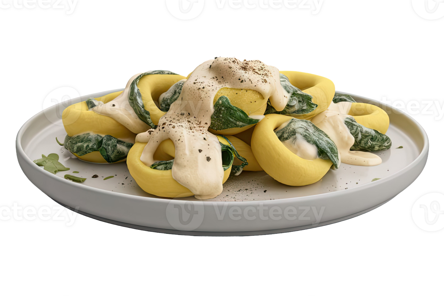 Tortelloni with Spinach and Cream Sauce png