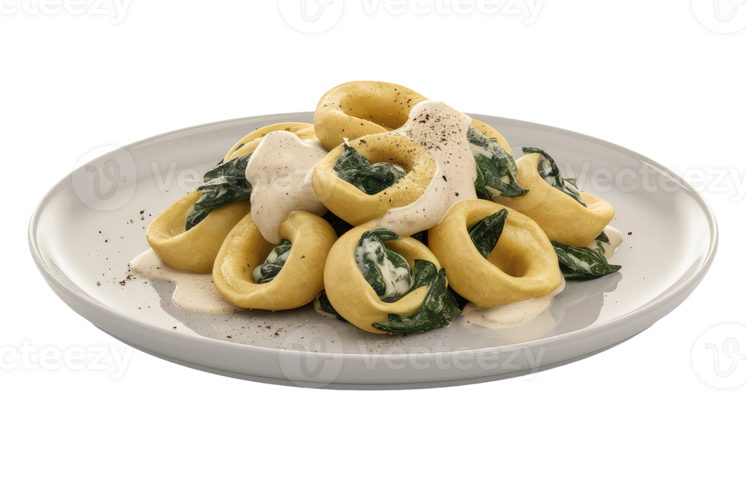 Tortelloni with Spinach and Cream Sauce png
