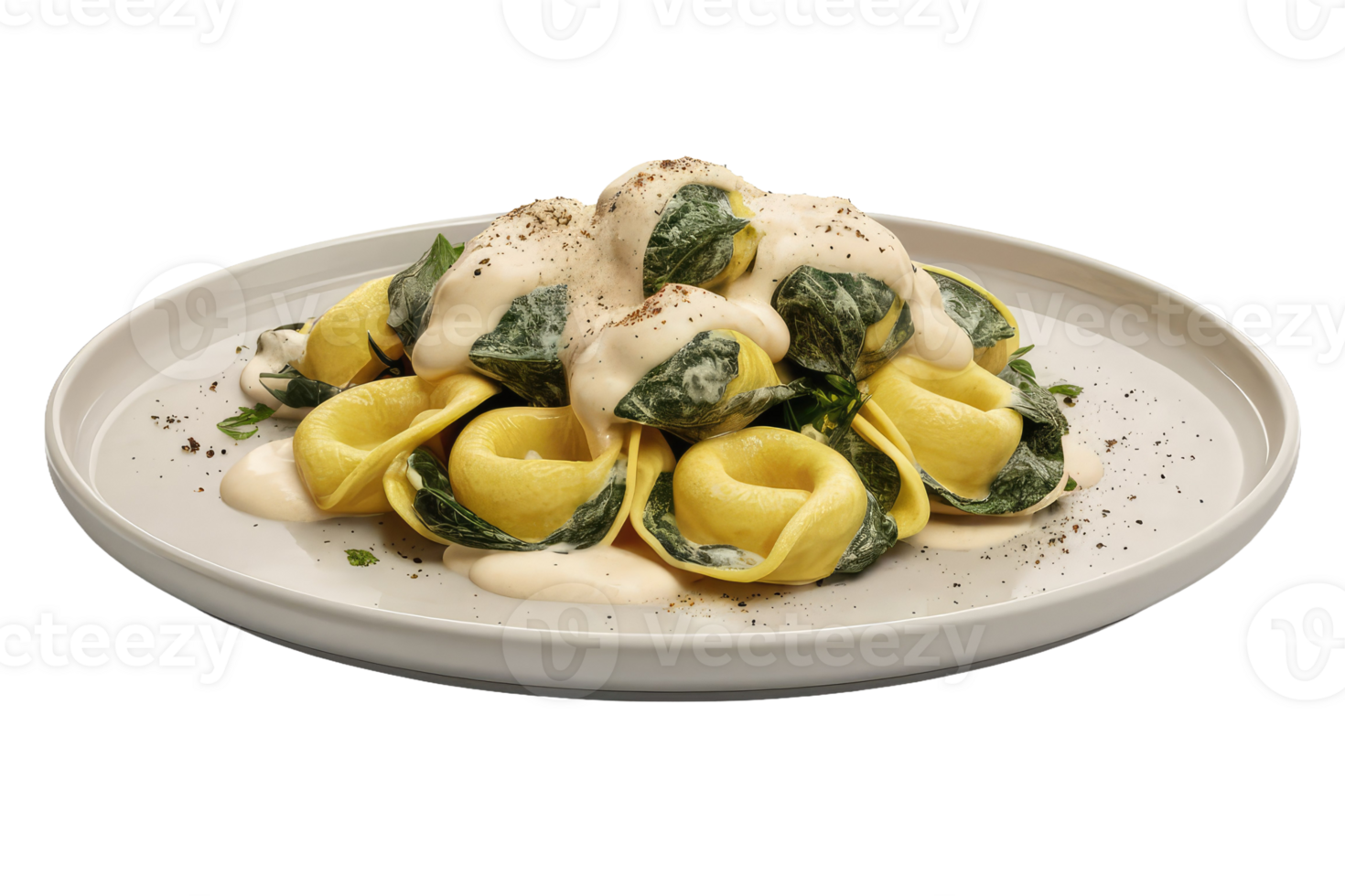 Tortelloni with Spinach and Cream Sauce png