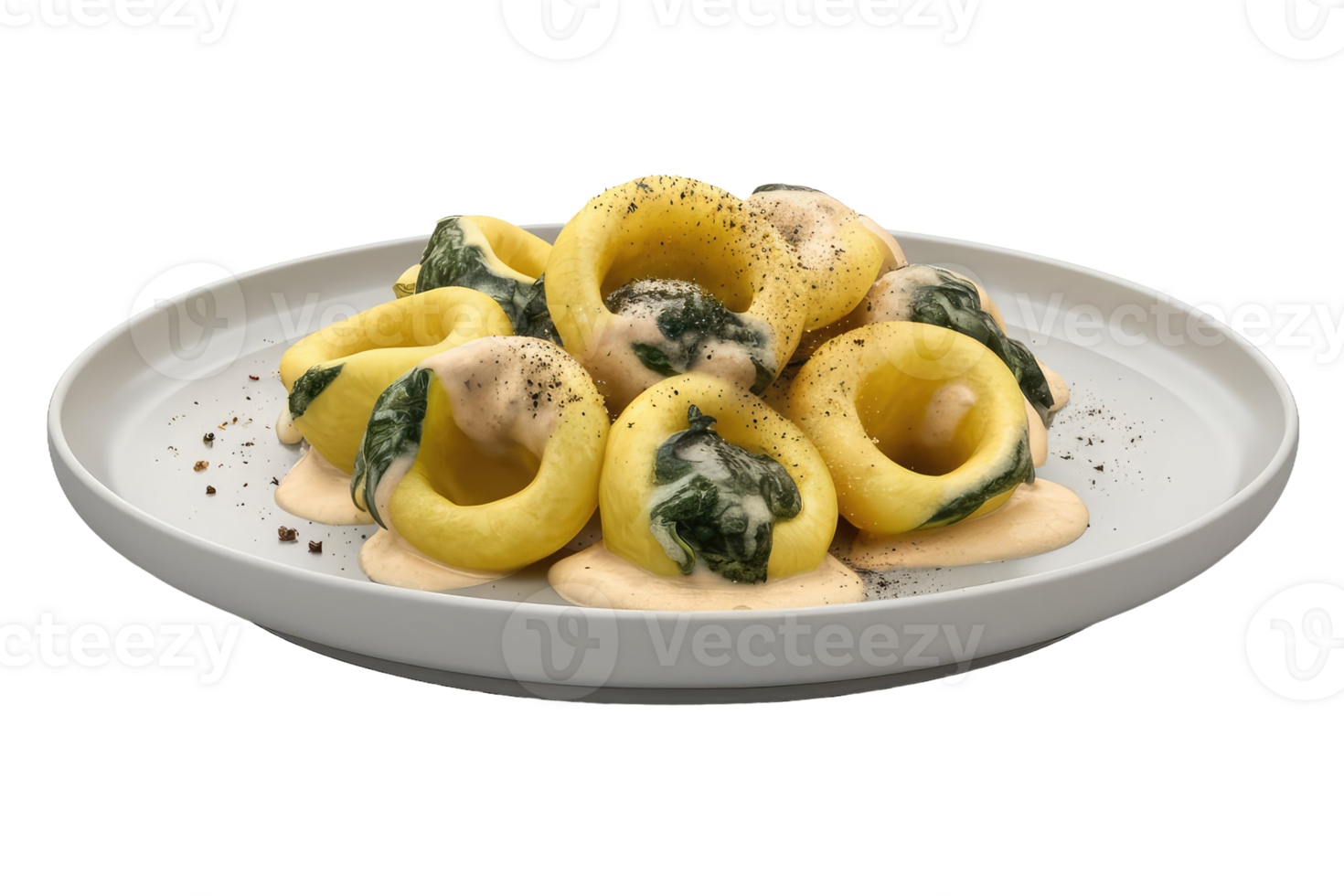 Tortelloni with Spinach and Cream Sauce png