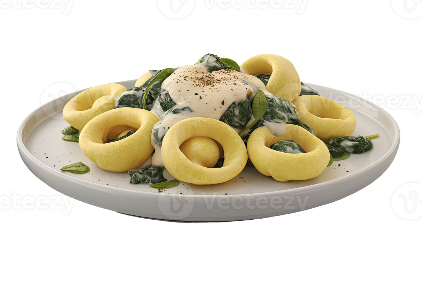 Tortelloni with Spinach and Cream Sauce png