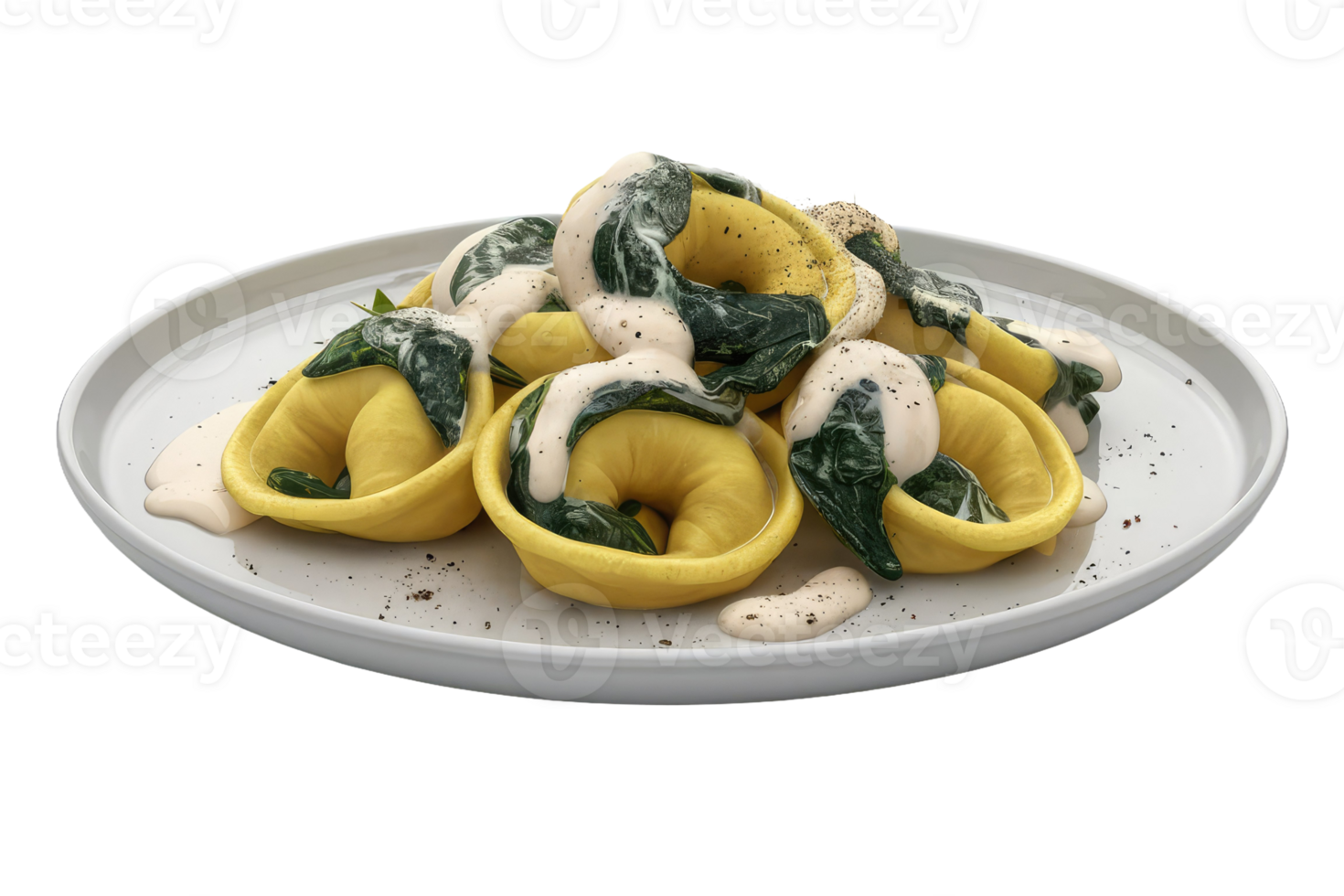Tortelloni with Spinach and Cream Sauce png