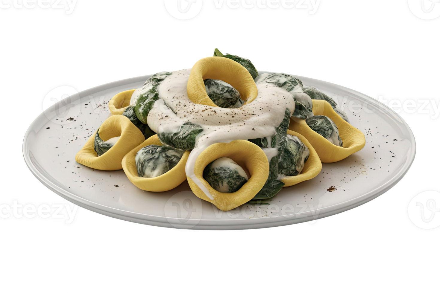 Tortelloni with Spinach and Cream Sauce png