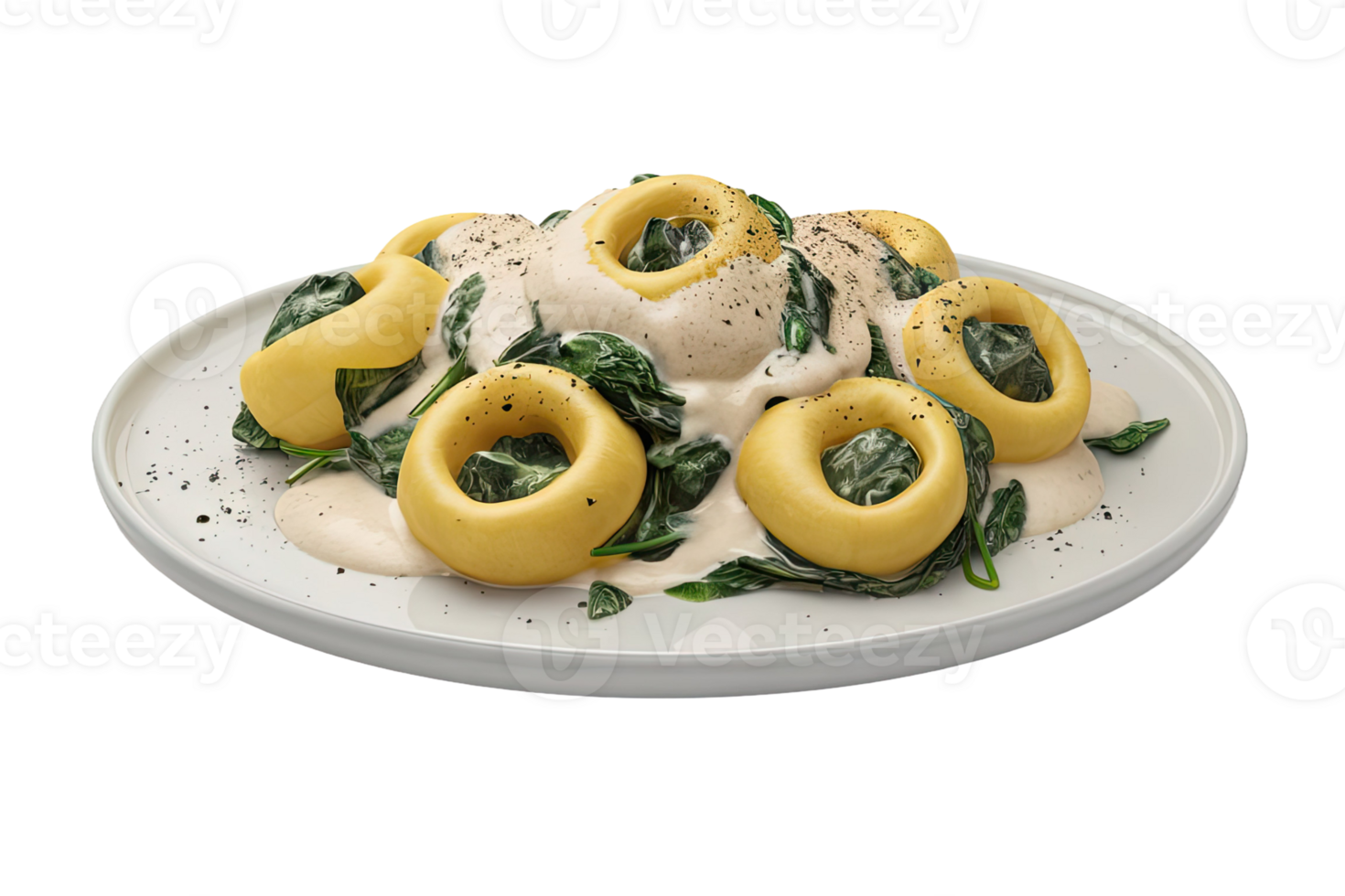 Tortelloni with Spinach and Cream Sauce png