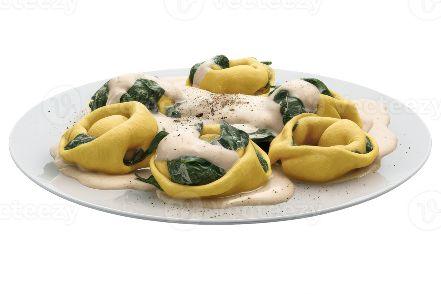 Tortelloni with Spinach and Cream Sauce png
