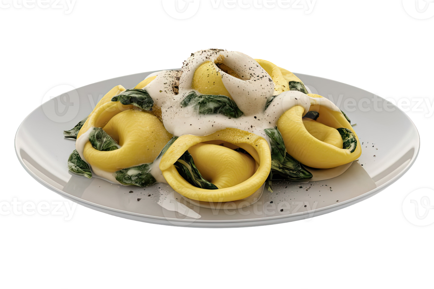 Tortelloni with Spinach and Cream Sauce png