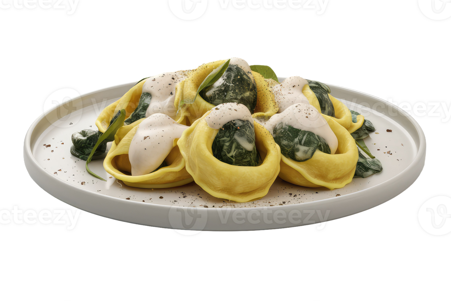 Tortelloni with Spinach and Cream Sauce png