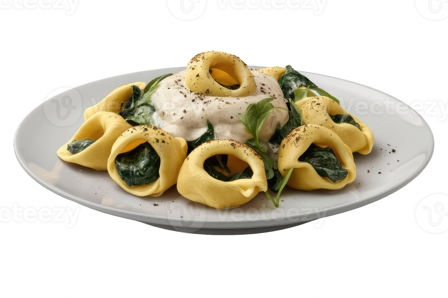 Tortelloni with Spinach and Cream Sauce png