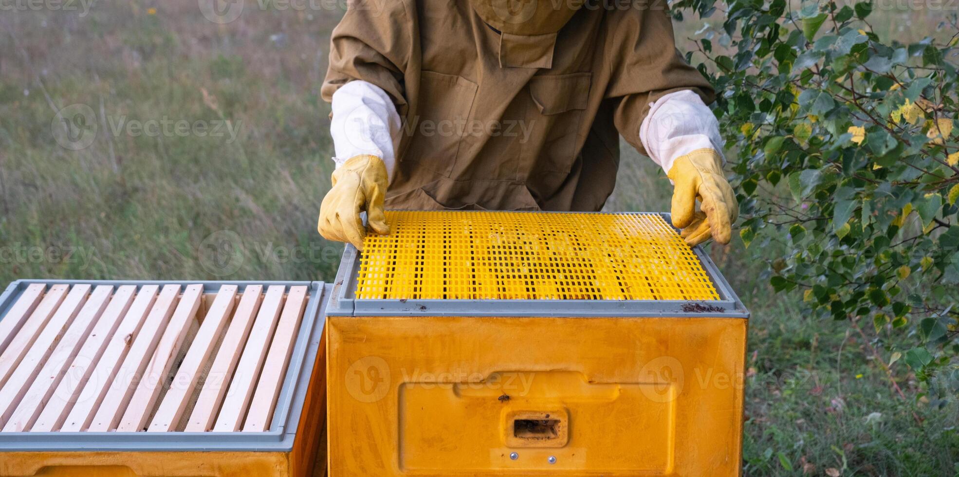 A beekeeper, a woman in a protective suit against bee stings, installs a separation grate in the hive. Beekeeping, care of the hive photo