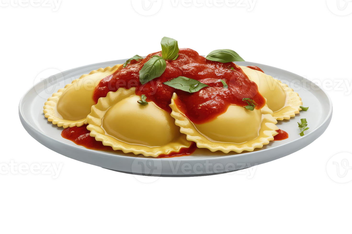 Ravioli with Tomato Sauce png