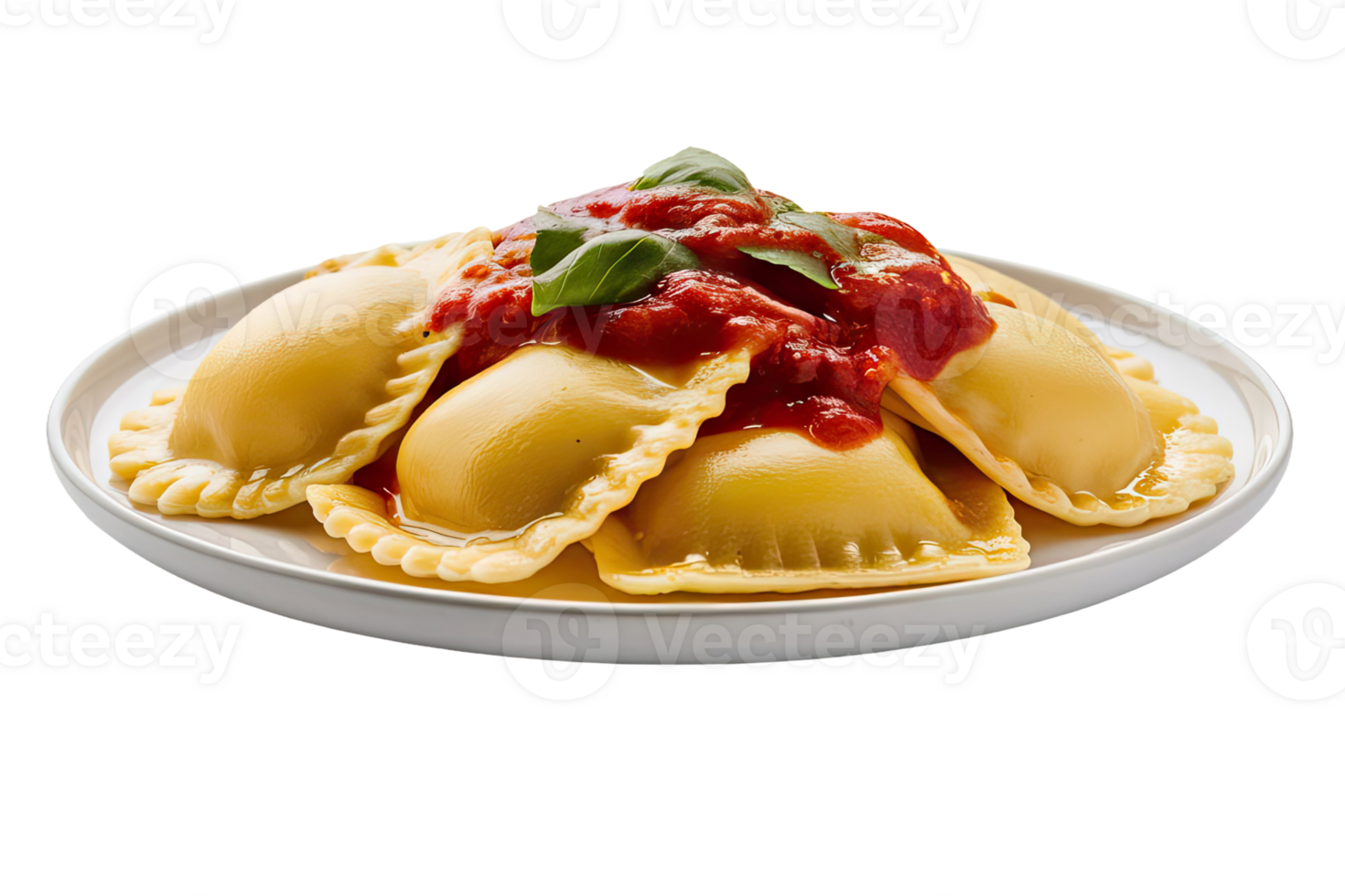 Ravioli with Tomato Sauce png