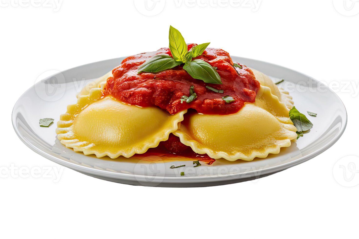 Ravioli with Tomato Sauce png