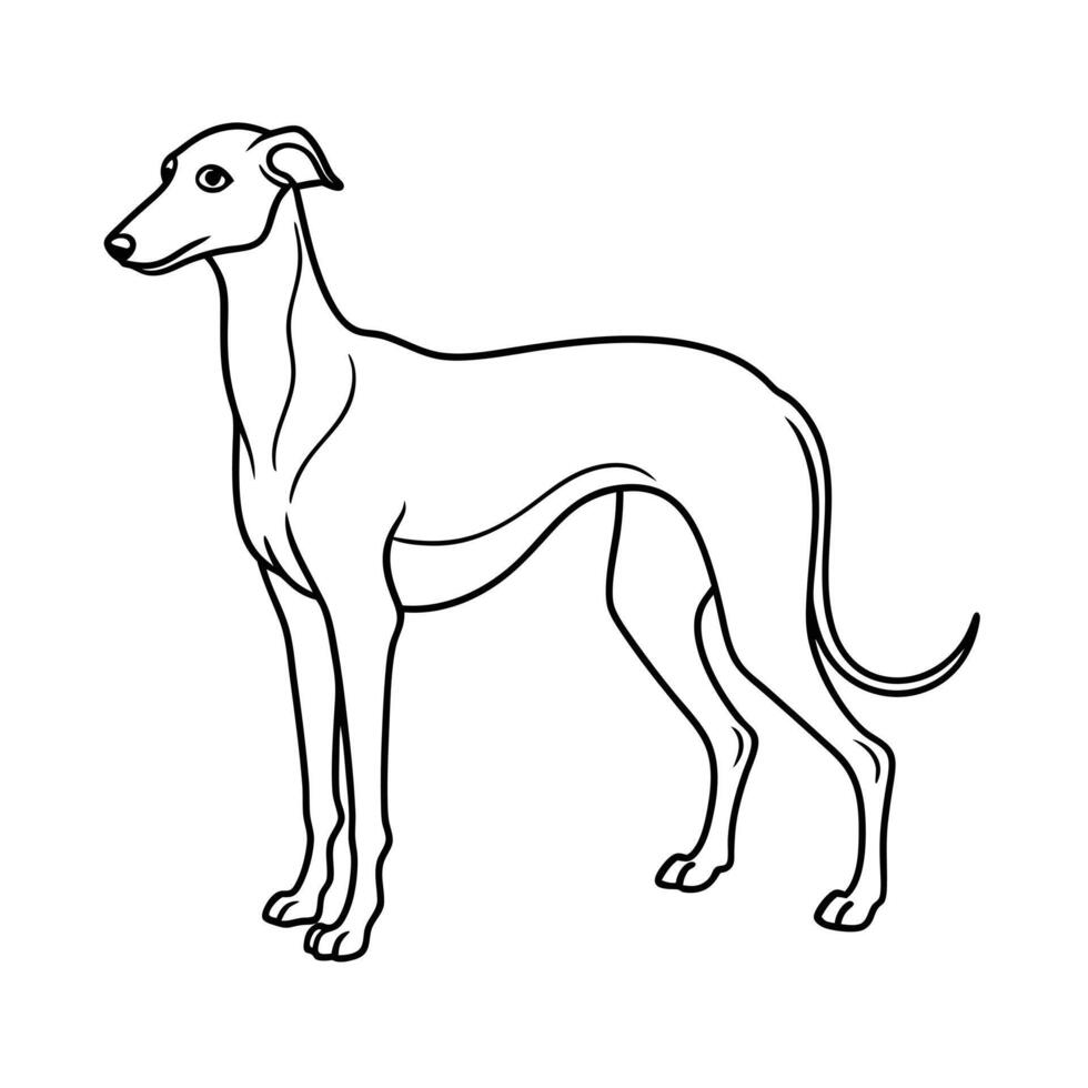 Realistic Illustration of Popular Pet Dogs vector