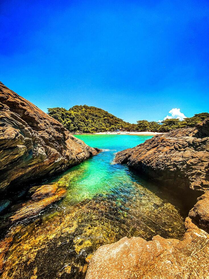 Picture of Rocky Shore at the beach during the day photo
