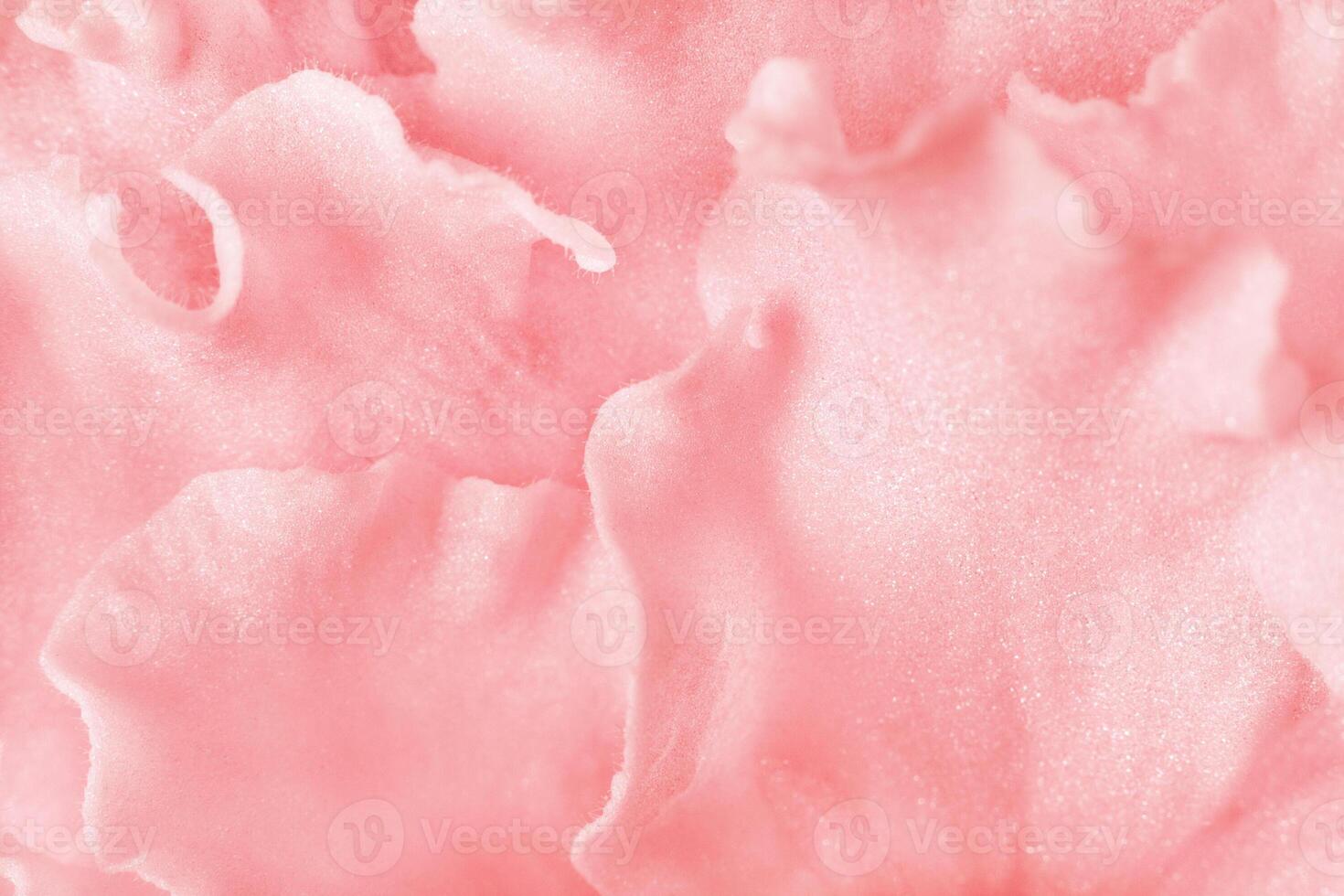 Close up view on a pink petals of the viola flower as background photo