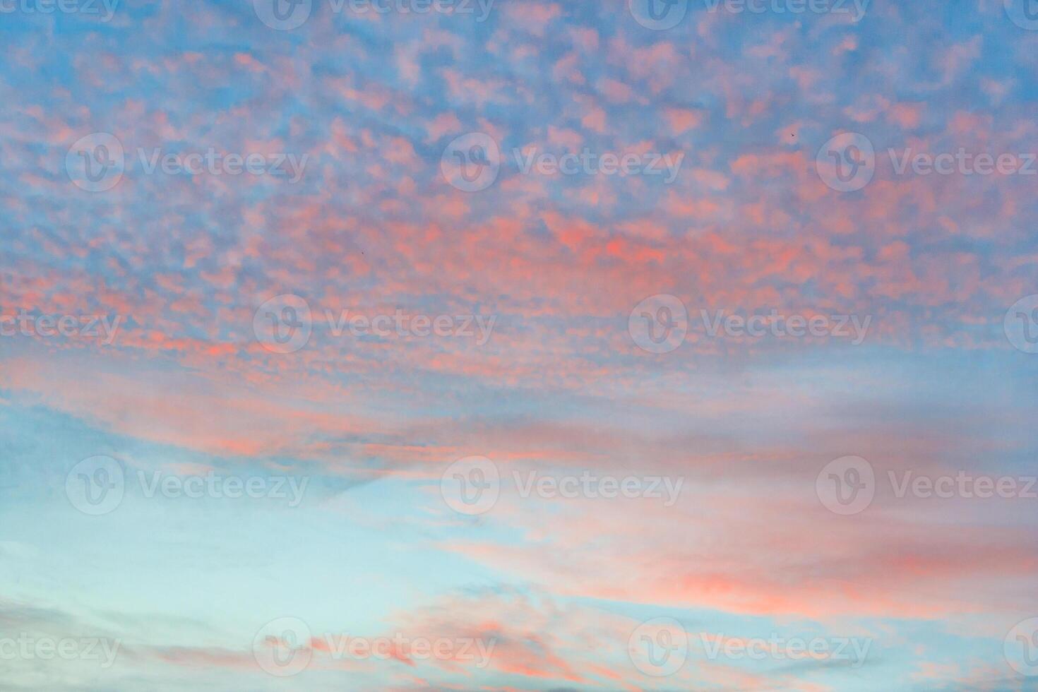 Orange cirrocumulus clouds in azure sky photo