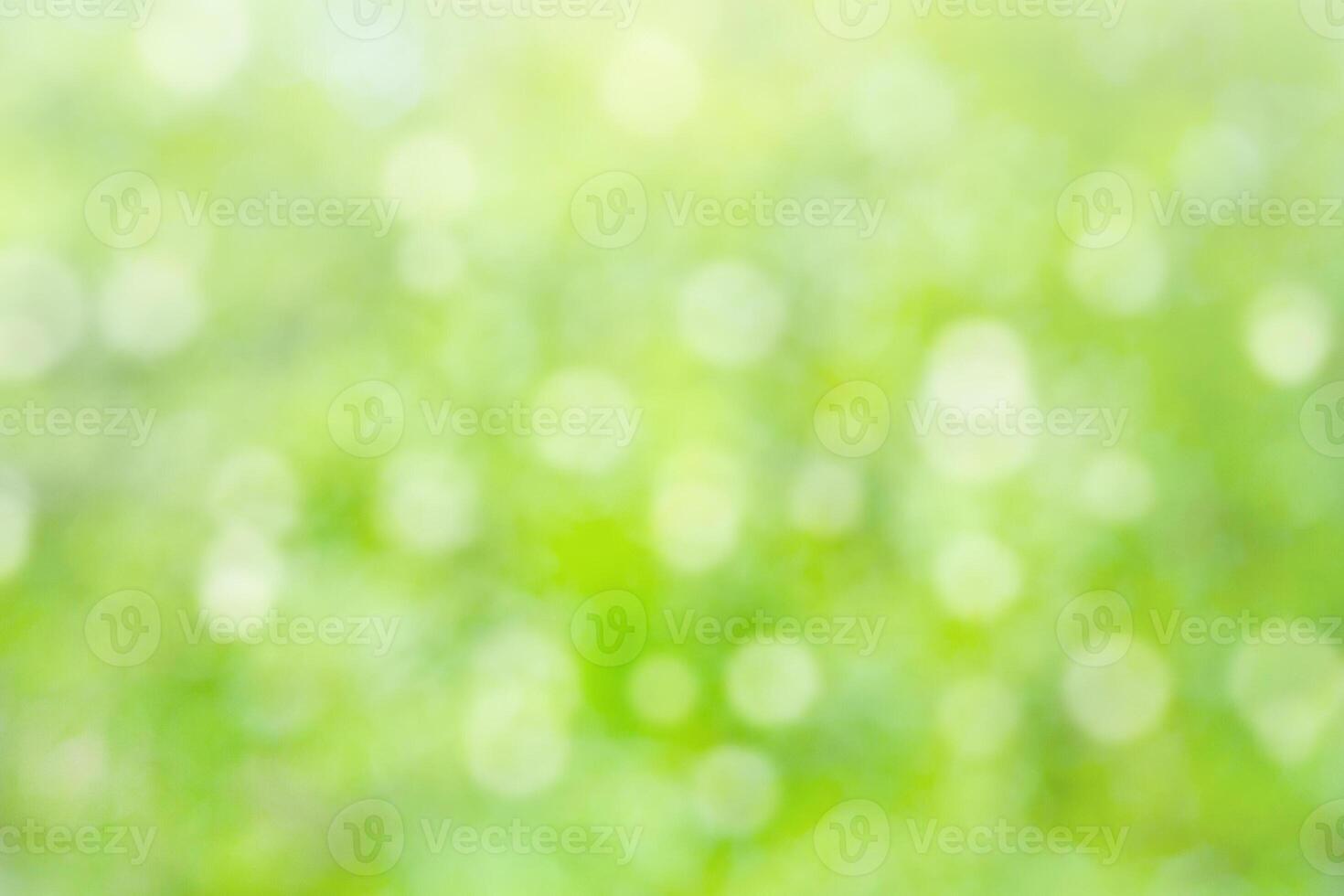 Natural blurred summer green background with bokeh photo